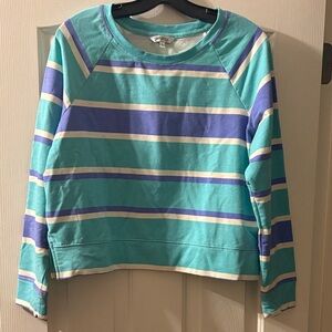 Wildfox EUC Blue and Light Purple Striped Long Sleeved sweatshirt size L